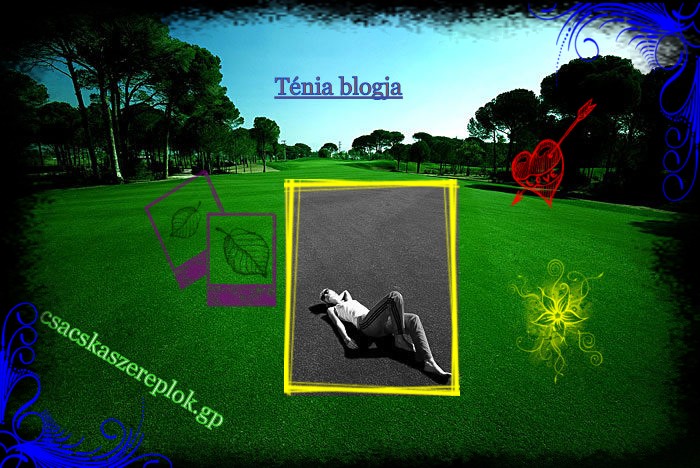 Blogom